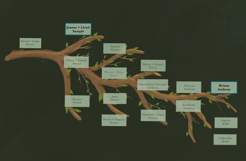 Briana family tree